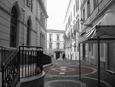 Portfolio 8